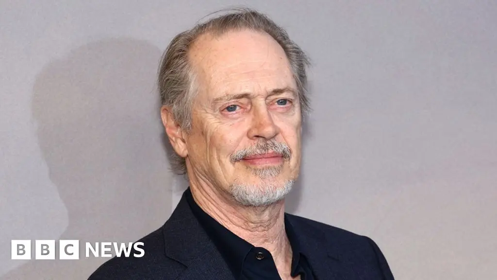 Steve Buscemi punched while walking street in New York